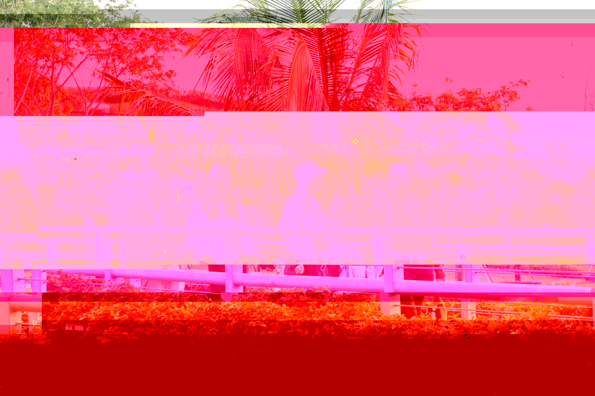 9E637